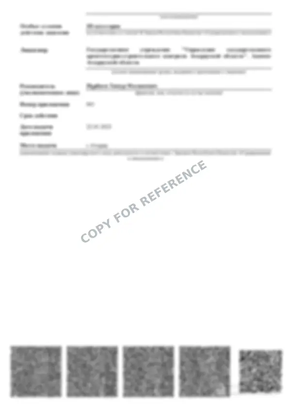 Document · page 4